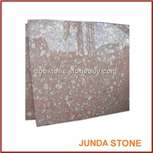 Jude Shell Marble Slabs