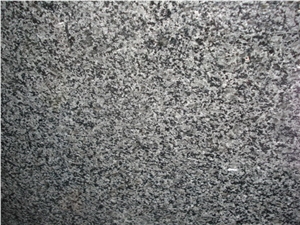 Black Ice Flower Granite Polished Slab