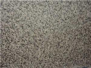 Tiger White Polished Granite Slab