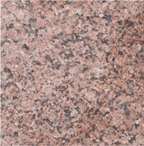 Ruby Red Granite Slabs & Tiles, India Red Granite