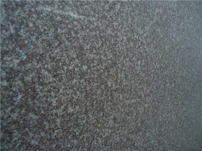 G664 Granite, Bainbrook Brown Granite Slab