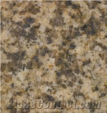 Granito Amarillo Platino, Golden Yellow, Yellow Platine Gratine - Granito Amarillo Platino Granite Slabs