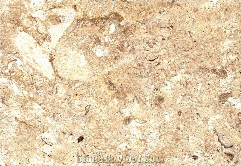 Seastone - Sea Shellstone, Philippines Beige Limestone Slabs & Tiles