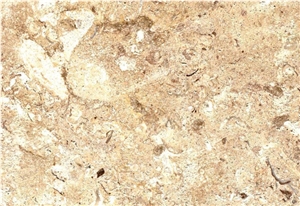 Seastone - Sea Shellstone, Philippines Beige Limestone Slabs & Tiles