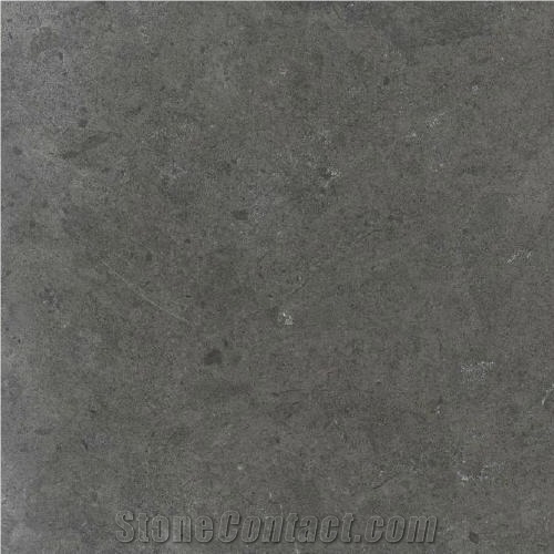Fossil Gray Limestone - Milly Grey