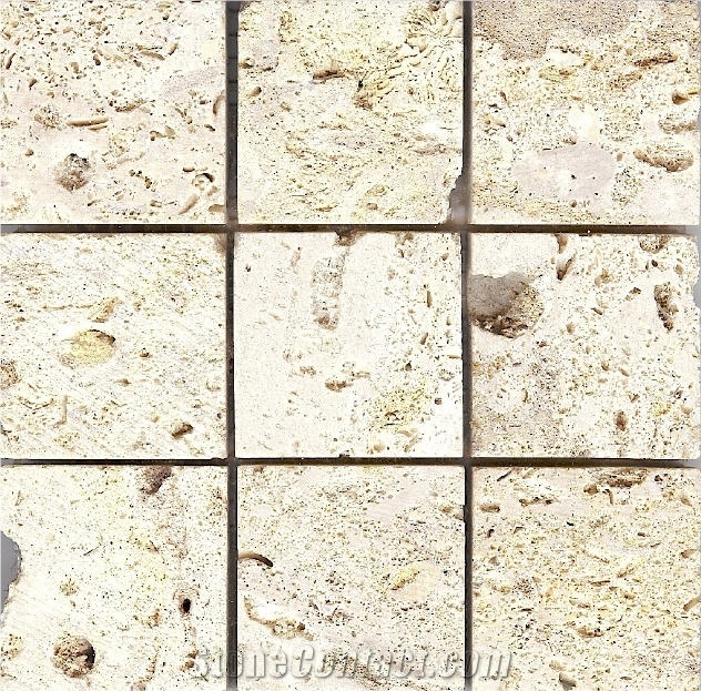 2x2 Coral Stone Mosaic Saw Cut, Coralina Beige Coral Stone Mosaic