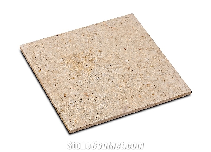 Atlantic Shell Stone Rustic Tile, Limestone