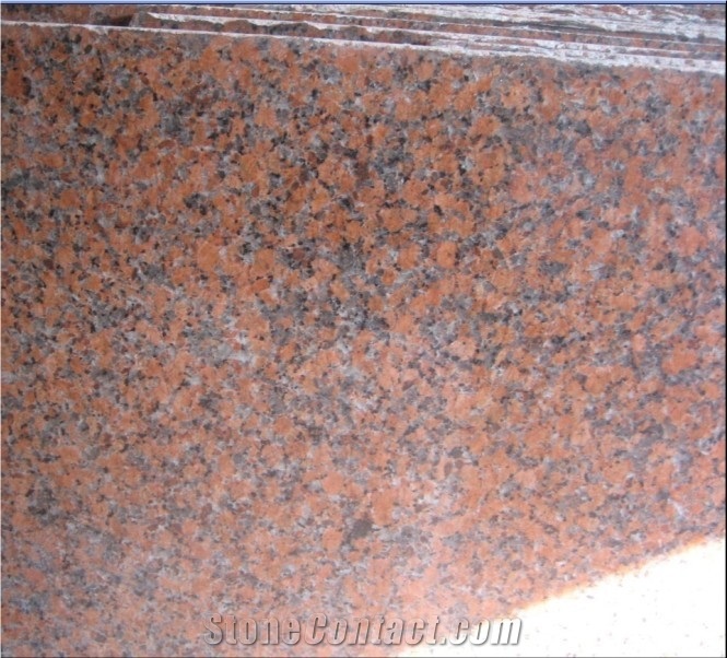 G562 Granite; Chinese Balmoral Granite, Maple Red Granite Slabs