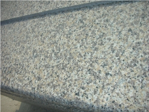 Tiger Skin White Step and Riser, Granite