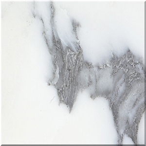 Arabescato Corchi Marble