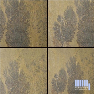 Fossil