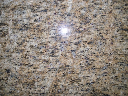 Natural Stone, Natural Granite, Giallo Santa Cecilia Granite Slabs