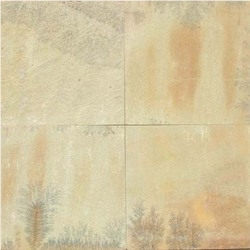 Fossil Mint Sandstone, Sandstone Slabs