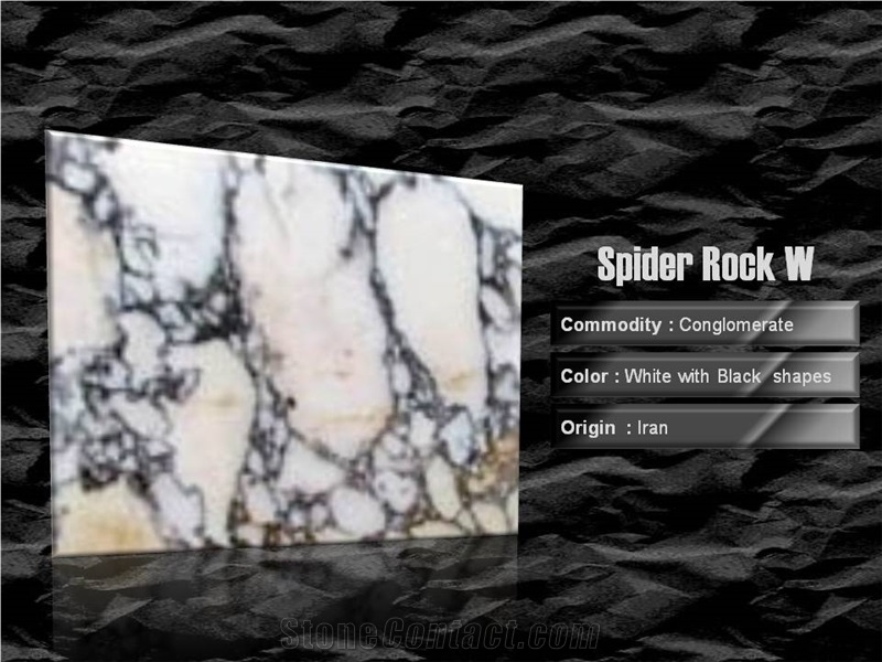 Spider Rock W