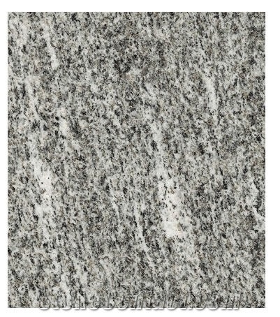 Beola Argentea Favalle Quartzite Slabs, Italy Grey Quartzite