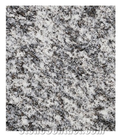 Cresciano Granite Slabs, Switzerland Grey Granite