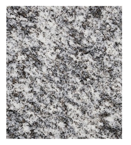 Cresciano Granite Slabs, Switzerland Grey Granite