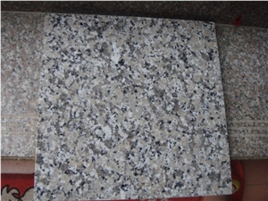China Rosa Minho Granite Tiles