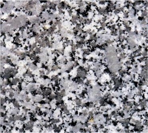 Bianco Perla - ENLY SONE, China White Granite Slabs & Tiles