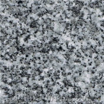 Gris Badajoz Grey Granite Slabs, Spain Grey Granite