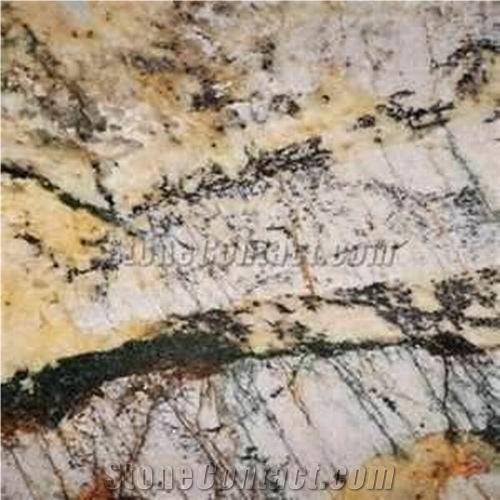 Brazil Barricato Granite Tile(low Price)