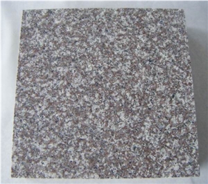 Chinese Interior Granite Floor Tile(own Factory)