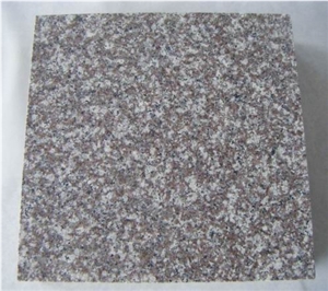 G664 Granite Tile (own Factory)