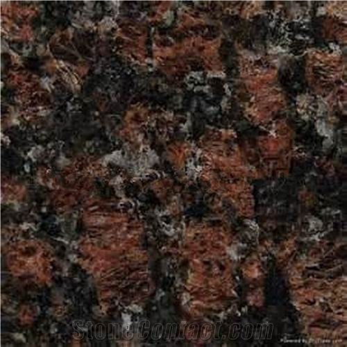 India Tan Brown Granite Tile(good Quality)