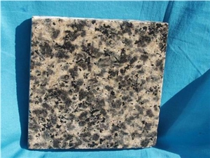 Leopard Skin Granite Tile(low Price)