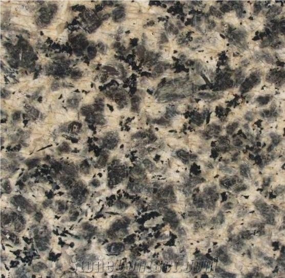 Polished Leopard Skin Granite Slab(good Price)