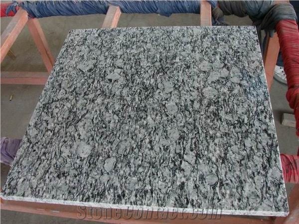 Polished Oyster Pearl Granite Tile(own Factory)