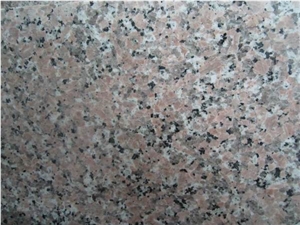 Polished Pink Porrino Granite Slab(low Price)