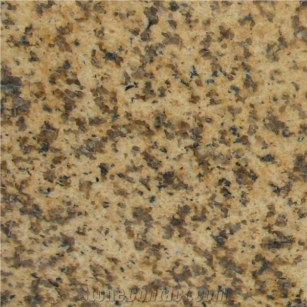 Vietnam Yellow Granite Tile(low Price)