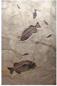 Fossil Fish Murals, Beige Limestone Home Decor