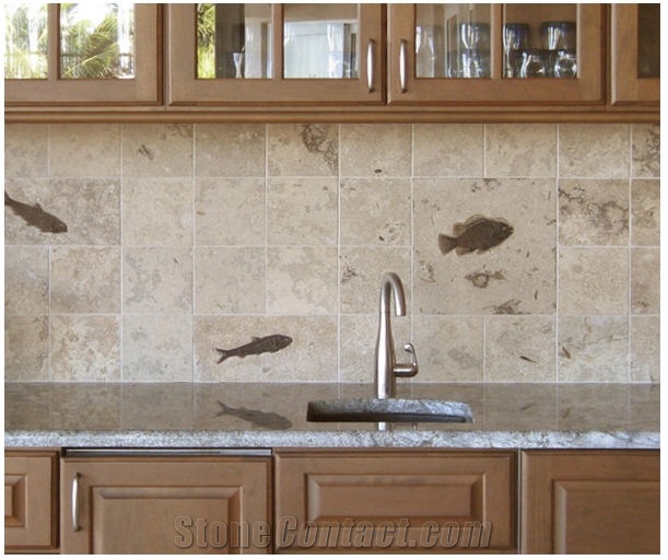 Honed Fossil Stone Relief Tile Backsplashes, Beige Limestone Kitchen  Accessories from United States 