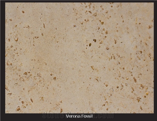 Verona Fossil, United States Beige Limestone Slabs & Tiles