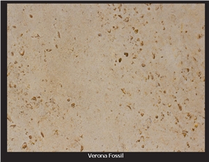 Verona Fossil, United States Beige Limestone Slabs & Tiles