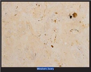 Western Ivory Shell Stone, Texas Shell Stone