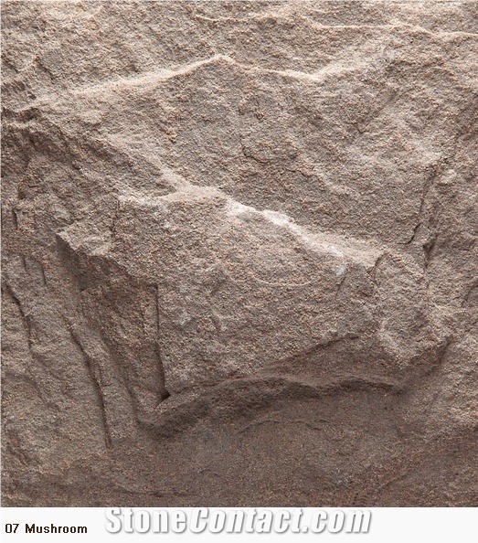 Khaki Plum Sandstone Slabs, China Brown Sandstone