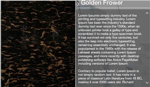 Golden Flower - Nero Port Laurent, China Nero Portoro Marble Slabs
