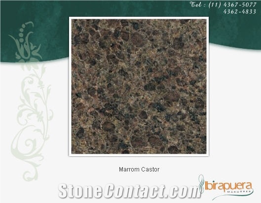 Marrom Castor Granite Slabs, Brazil Brown Granite