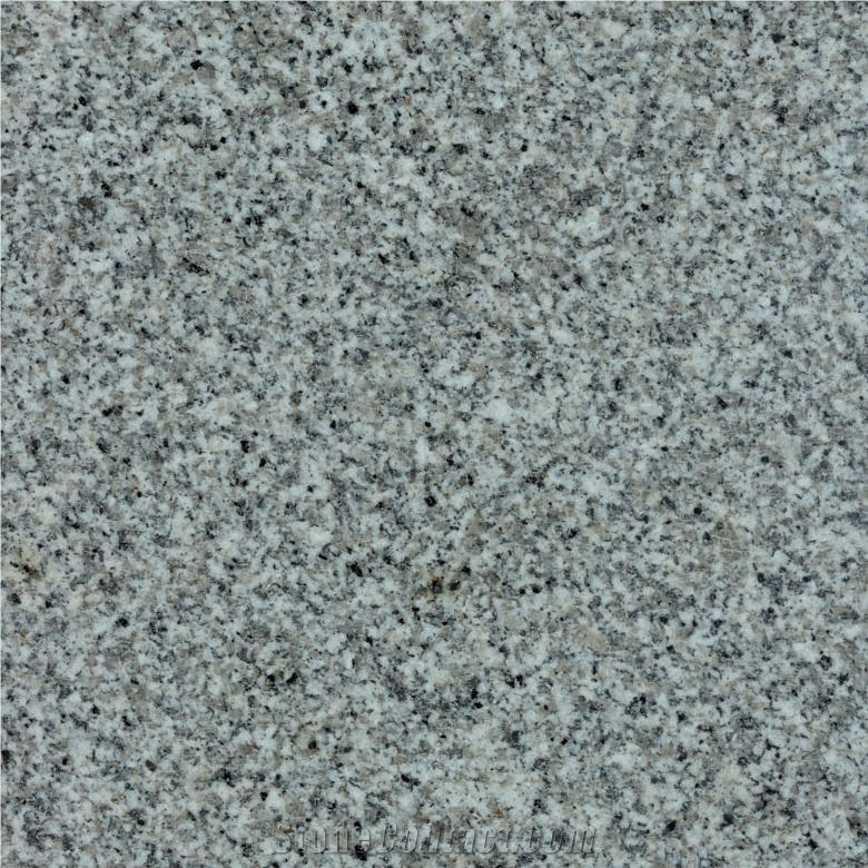 White Avsar Granite Slabs, Turkey White Granite