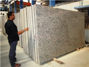 Tiger Skin India Granite Slabs
