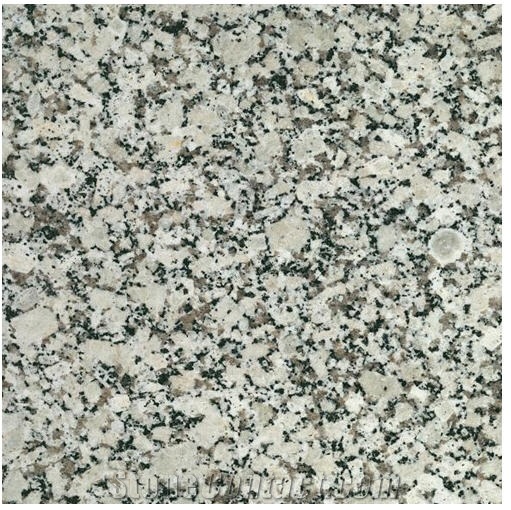 Gris Perla Granite Slabs, Spain Grey Granite