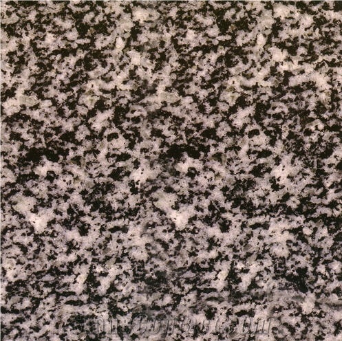 Negro Tezal Granite Slabs, Spain Grey Granite
