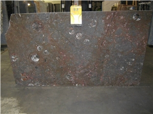 Brown Fossil (Fossile Marrone) Slabs, Fossil Brown Limestone