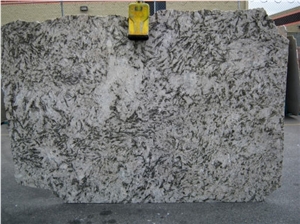 White Artic White Granite Slabs, Arctic Cream White Granite