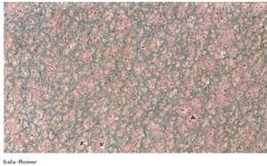 Bala Flower Granite Slabs, India Pink Granite