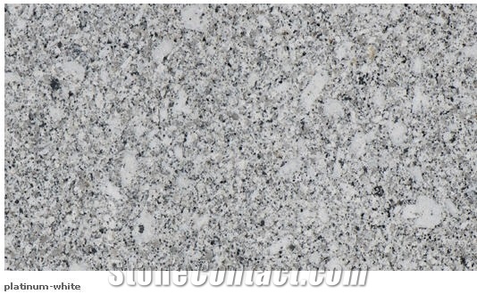 Platinum White Granite Slabs, India White Granite