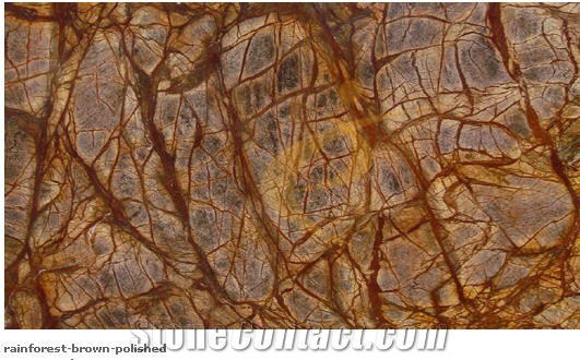 Rainforest Brown Marble Polished